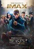 Fantastic Beasts and Where to Find Them (2016) Poster #17 Thumbnail