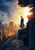 Fantastic Beasts and Where to Find Them (2016) Poster #3 Thumbnail