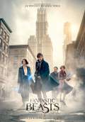 Fantastic Beasts and Where to Find Them (2016) Poster #5 Thumbnail