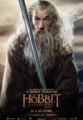 The Hobbit: The Desolation of Smaug (2013) Poster #17 Thumbnail
