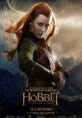The Hobbit: The Desolation of Smaug (2013) Poster #19 Thumbnail