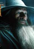 The Hobbit: The Desolation of Smaug (2013) Poster #5 Thumbnail