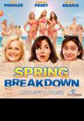 Spring Breakdown (2009) Poster #1 Thumbnail