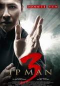 Ip Man 3 (2016) Poster #1 Thumbnail
