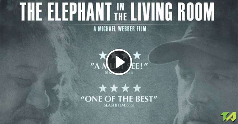 Elephant In The Living Room Trailer
