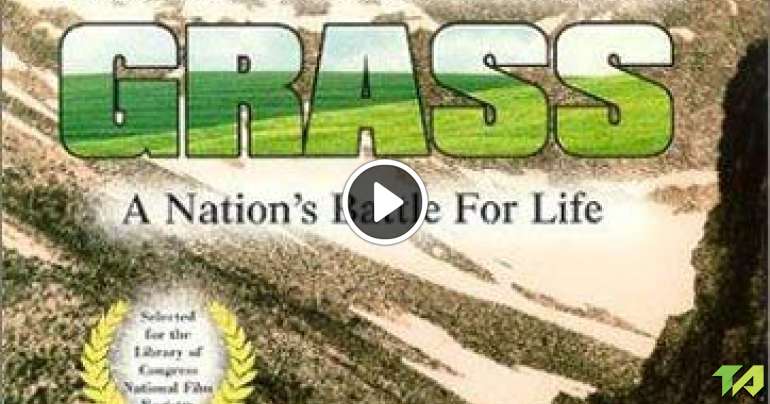 Grass: A Nation's Battle For Life Trailer (1925)