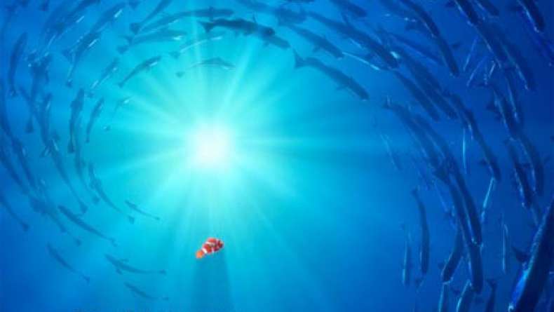 Finding Nemo (2003) Trailer B - Trailer Addict