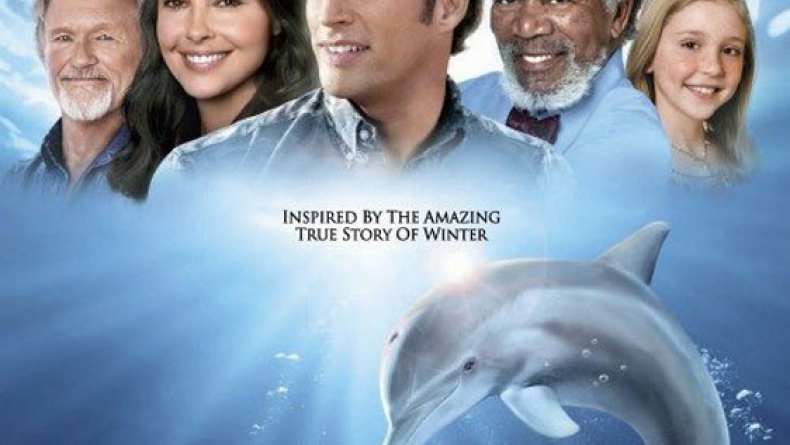 Dolphin Tale 2011 Traileraddict